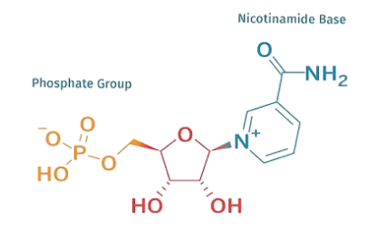 Scientific Research and Quality