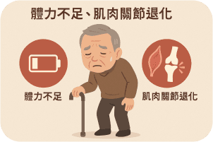 體力不足、肌肉關節退化